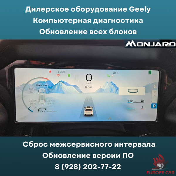 Обновление ПО блоков Geely Monjaro (Джили Монжаро). Компьютерная диагностика Джили Монжаро. Сброс ТО/межсервисного интервала Geely Monjaro