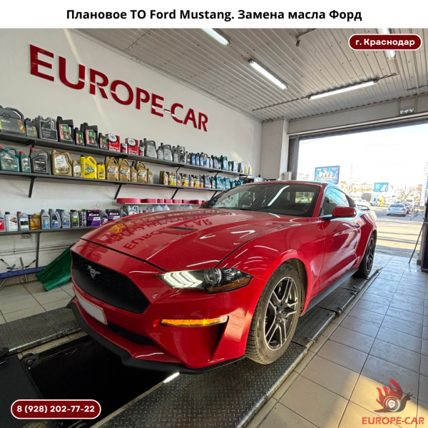 Плановое ТО Ford Mustang. Замена масла Форд Мустанг