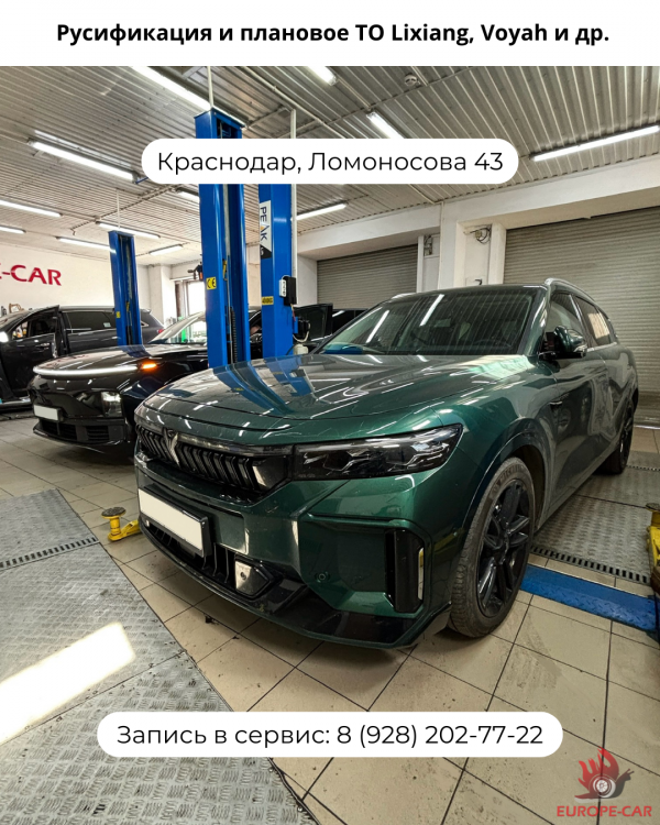Русификация и плановое ТО китайских автомобилей Lixiang, Voyah и др.